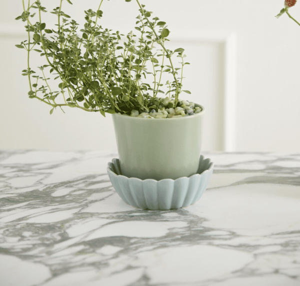 Springvale Pot w/ Saucer, Green